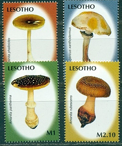 Лесото, 2007, Грибы, 4 марки